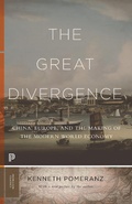 Bild: The Great Divergence - Princeton University Press