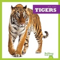 Cover: Tigers - Bullfrog Books