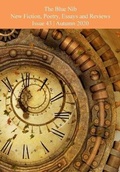 Cover: The Blue Nib Literary Magazine Issue 43 - Chaffinch Press