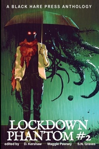 Enlarge image Cover: Lockdown Phantom #2 - Black Hare Press