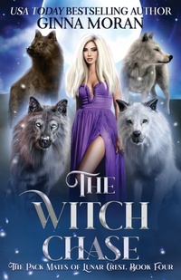 Enlarge image Cover: The Witch Chase - Sunny Palms Press