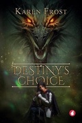 Cover: Destiny's Choice - Ylva Verlag E.Kfr.