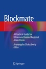 Cover: Blockmate - Springer