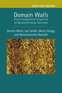 Enlarge image Cover: Domain Walls - OUP eBook