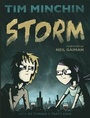 Cover: Storm - Orion