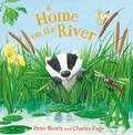 Cover: A Home on the River - Hodder Children's Books
