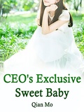 Cover: CEO's Exclusive Sweet Baby - Funstory