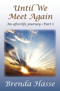 Cover: Until We Meet Again - Brenda Hasse