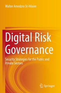 Abbildung von: Digital Risk Governance - Springer