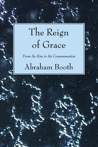 Enlarge image Cover: The Reign of Grace - Wipf and Stock