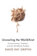 Cover: Unsnarling the World-Knot - Wipf and Stock