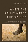 Cover: When the Spirit Meets the Spirits - Wipf and Stock