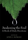 Cover: Awakening the Soul - Wipf and Stock Publishers
