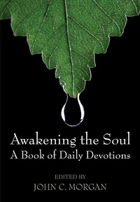 Enlarge image Cover: Awakening the Soul - Wipf and Stock Publishers