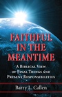 Cover: Faithful in the Meantime - Wipf and Stock