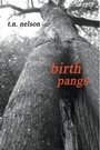 Cover: Birth Pangs - Wipf and Stock Publishers