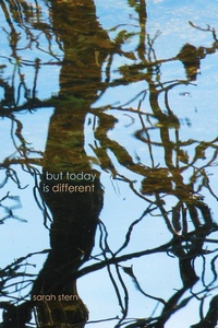 Enlarge image Cover: But Today Is Different - Resource Publications