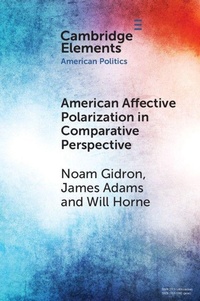 Enlarge image Cover: American Affective Polarization in Comparative Perspective - Cambridge University Press