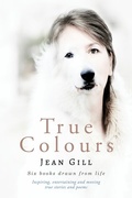 Cover: True Colours - The 13th Sign