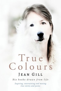 Abbildung von: True Colours - The 13th Sign