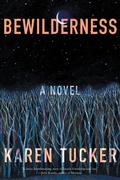 Cover: Bewilderness - Catapult