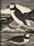 Cover: Birds Journal - Bodleian Library