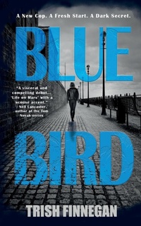 Abbildung von: Blue Bird - Burning Chair Limited