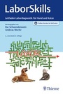 Bild: LaborSkills - Thieme