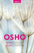 Cover: OSHO - Acum Si Aici - Litera Media Group