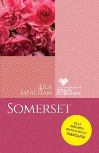 Enlarge image Cover: Somerset - Litera Media Group