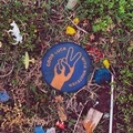 Cover: Good Luck With Whatever - Universal Music Vertrieb - A Division of Universal Music GmbH