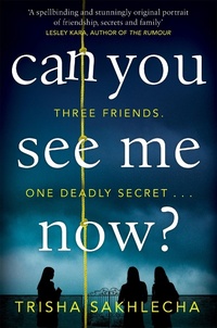 Abbildung von: Can You See Me Now? - Pan Books