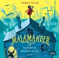 Cover: Malamander. Die Geheimnisse von Eerie-on-Sea - Igel Records