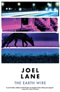 Cover: The Earth Wire - Influx Press