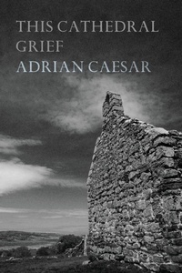 Enlarge image Cover: This Cathedral Grief - Recent Work Press