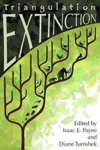 Enlarge image Cover: Triangulation - Parsec Ink