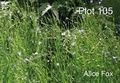 Cover: Plot 105 - Stitch: Print: Weave Press
