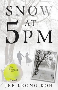Abbildung von: Snow at 5 PM - Gaudy Boy, LLC