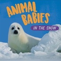 Cover: Animal Babies: In the Snow - Wayland