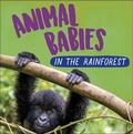 Cover: Animal Babies: In the Rainforest - Wayland