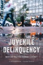 Cover: Juvenile Delinquency - Rowman & Littlefield Publishers