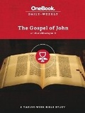 Cover: The Gospel of John - Seedbed Publishing