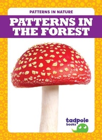 Enlarge image Cover: Patterns in the Forest - Tadpole Books