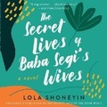 Cover: The Secret Lives of Baba Segi's Wives - HarperCollins