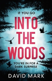 Abbildung von: Into the Woods - Head of Zeus -- an Aries Book