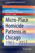 Bild: Micro-Place Homicide Patterns in Chicago - Springer