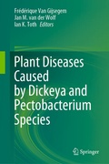Bild: Plant Diseases Caused by Dickeya and Pectobacterium Species - Springer