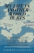 Cover: My Life in Another World Hurts - Draft2digital
