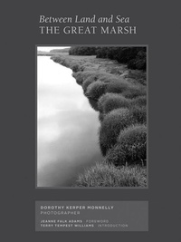 Enlarge image Cover: Between Land and Sea: The Great Marsh - Marquand Books Inc