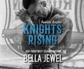 Cover: Knights Rising - Dreamscape Media